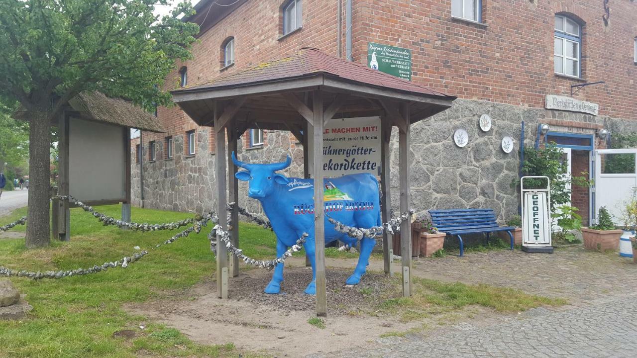 Ferienwohnung Finja In Putgarten, Kap Arkona Ruegen Buitenkant foto
