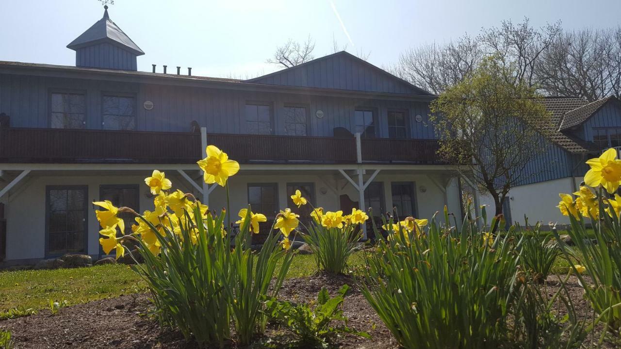 Ferienwohnung Finja In Putgarten, Kap Arkona Ruegen Buitenkant foto
