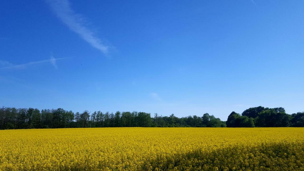 Ferienwohnung Finja In Putgarten, Kap Arkona Ruegen Buitenkant foto